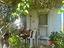 Immagine 14