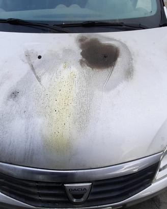 DACIA SANDERO 2009 - COFANO ANTERIORE