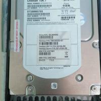 HD SAS Seagate Cheetah 15K.7 300 GB 3.5'' 