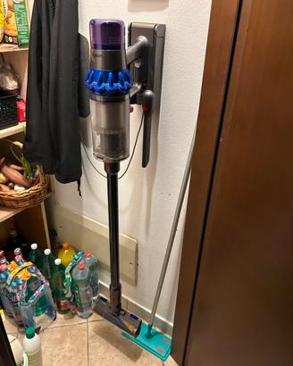 Dyson v15
