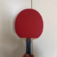 Racchetta da ping pong