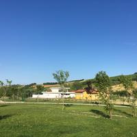 Lotti edificabili a Bacedasco Basso