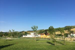 Lotti edificabili a Bacedasco Basso