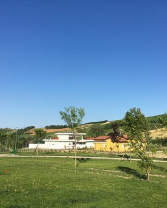 Lotti edificabili a Bacedasco Basso