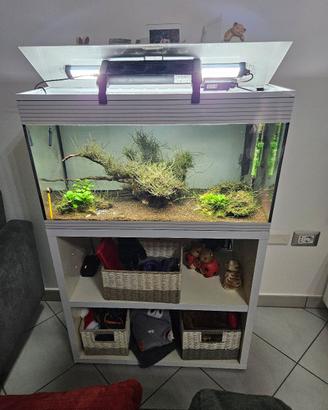 Acquario Askoll Pure Led XL