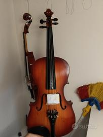 violino