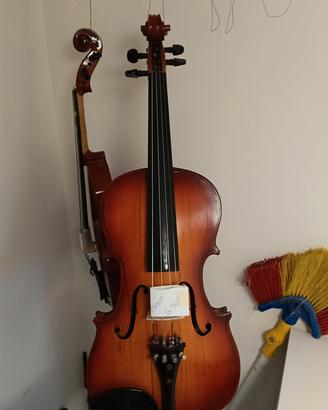 violino
