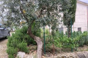 3 LOCALI A TORRECUSO