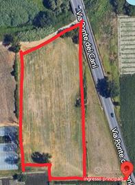 Terreno Agricolo di 9.500