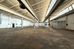 CAPANNONE A TORREGLIA