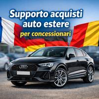 Supporto import auto estere per commercianti auto
