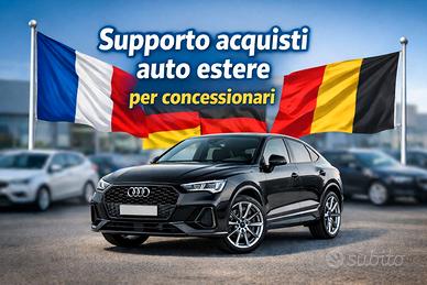 Supporto import auto estere per commercianti auto