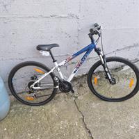bici da donna