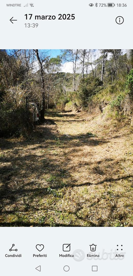 terreno agricolo biologico - Vista 4