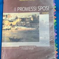 Alessandro Manzoni: "I Promessi Sposi"