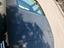Immagine 5