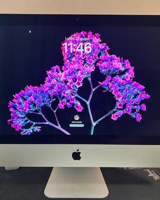 iMac 21,5" Retina 4K (2019)/ 1TB HDD / 8GB RAM
