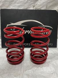 Molle ammortizzatori posteriori rinforzate Smart f