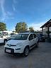 fiat-panda-hybrid-pop