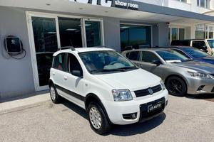Fiat Panda Panda 1.2 Climbing 4x4 OK NEOPATENTATI