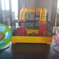 gabbia e accessori per criceto 