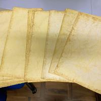 Feniks carta fotografica A3 stile all'albumina