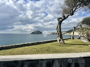 PALAZZO A BARANO D'ISCHIA