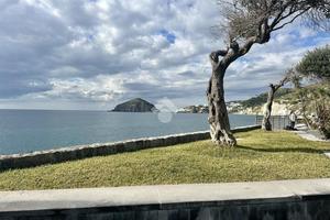 PALAZZO A BARANO D'ISCHIA