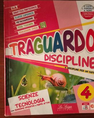 Traguardo Discipline 4 - Scienze e Tecnologia 
