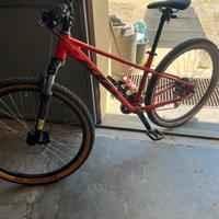 Bella mtb