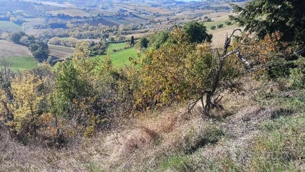 Immobile in asta di 21855 m² a Monte Vidon Combatt - Vista 5