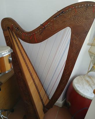 Arpa musicale