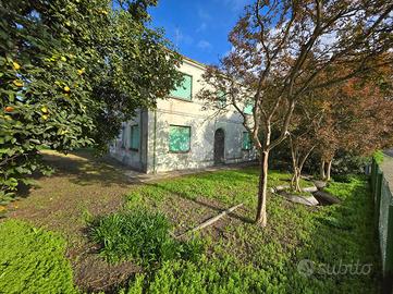 CASA INDIPENDENTE A RUSSI