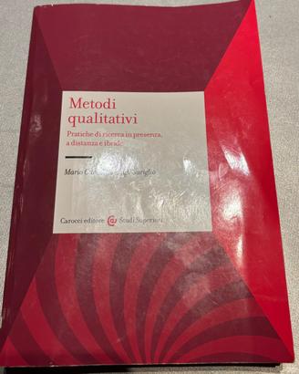 Metodi qualitativi