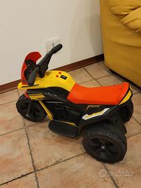 Moto elettrica 