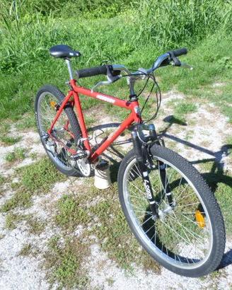 Bicicletta  M.T.B.  "REGINA VENETA"