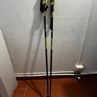 bastoncini sci
