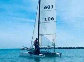 Barca Catamarano Hobie Wildcat 2010