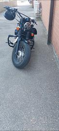 Harley davidson 1200 forty eight 