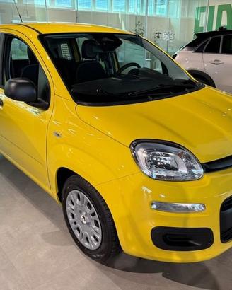 FIAT Pandina 1.0 FireFly 65cv S&S 6m Hybrid Pop