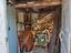 Immagine 26
