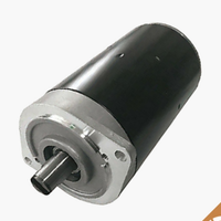 Motore gallinea 24 v NUOVO