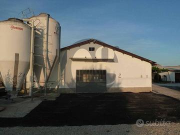 Immobile di 2700 m² con più di 5 locali a Motta Ba