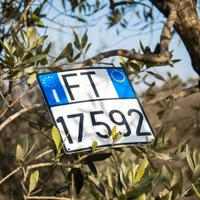 🚹TARGA REPLICA UFFICIALE INDISTRUTTIBILE🚹