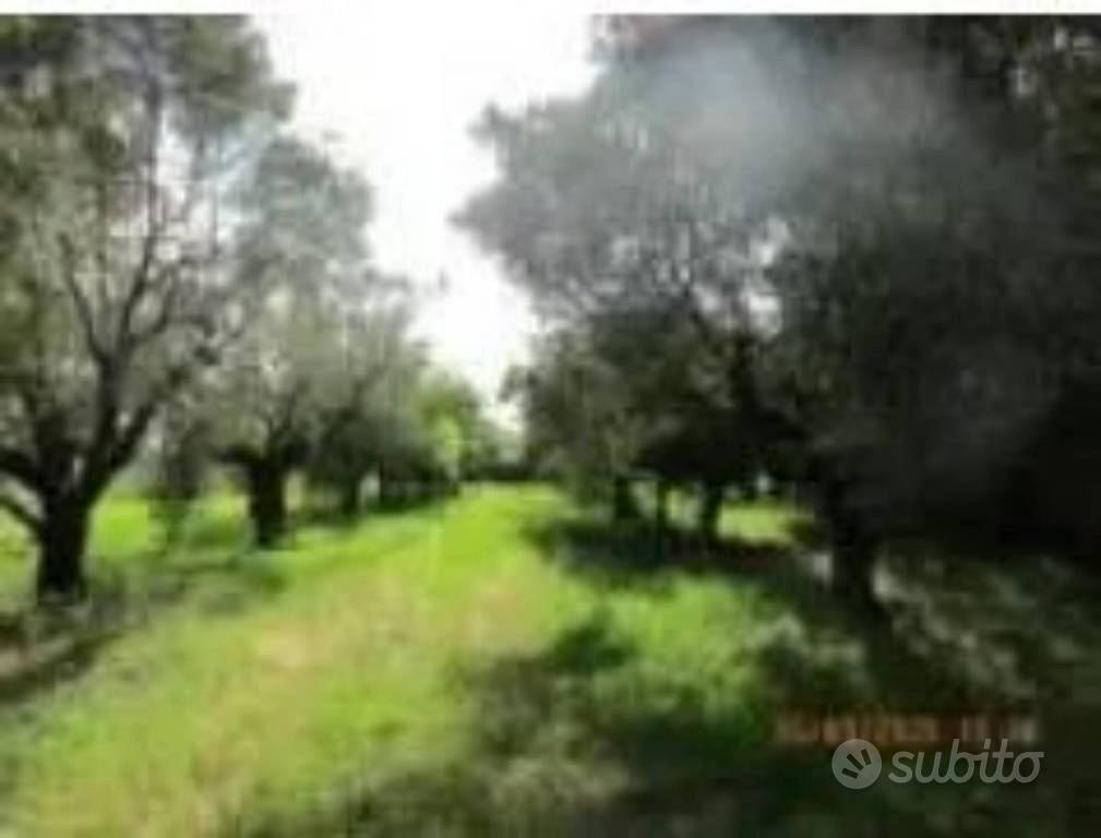 Immobile in asta di 1540 m² a Lamezia Terme - Vista 5