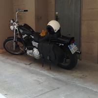 Harley Davidson Dyna