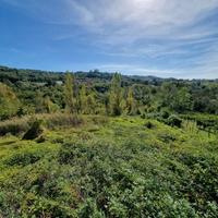 Terreno agricolo di mq 10000
