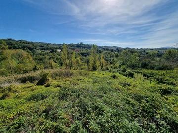Terreno agricolo di mq 10000