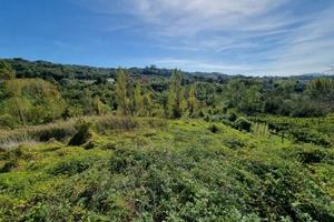 Terreno agricolo di mq 10000