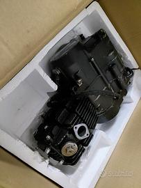 motore pitbike 125